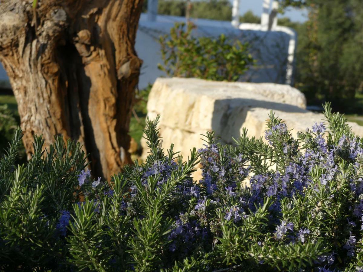 Villa M Specchiolla Εξωτερικό φωτογραφία